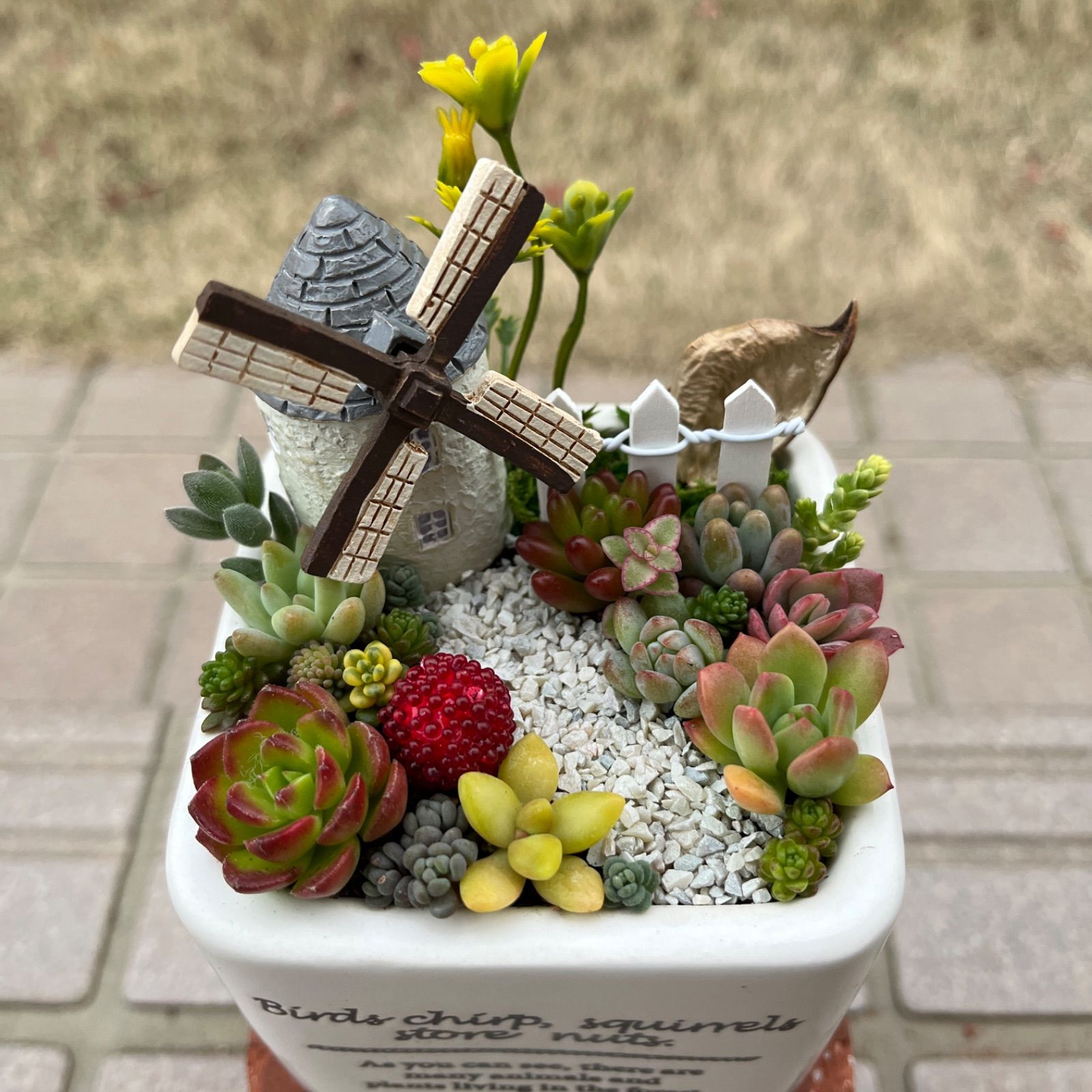 ♡そのまま飾れる♡陶器鉢♬ヨーロピアンガーデンの箱庭風多肉植物寄せ植え♡ - メルカリ