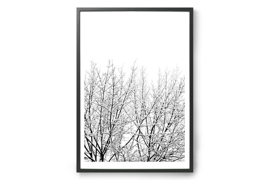 ポスター/アートプリント　50×70cm　Snowy Tree/88xCL019