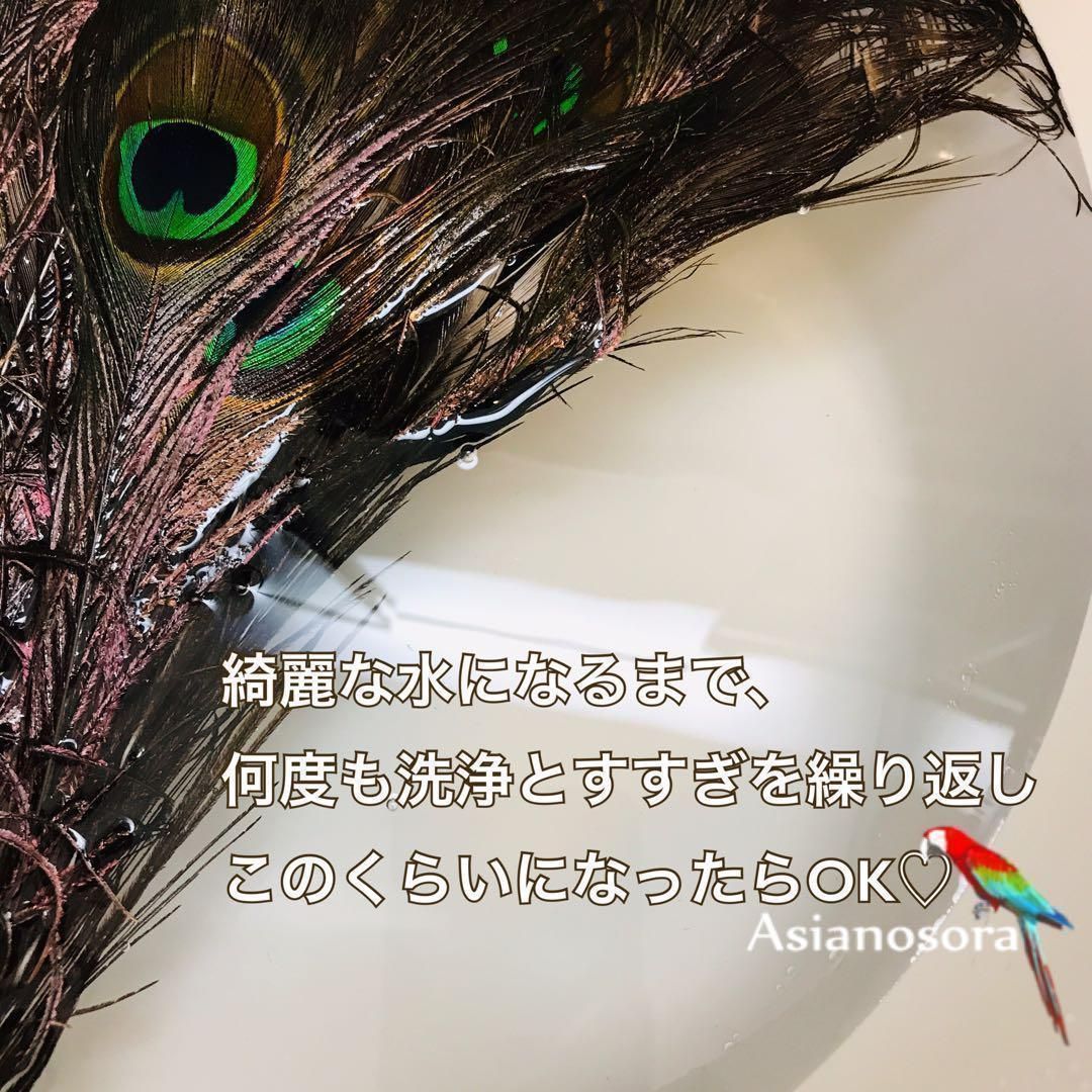 100枚■【クジャク 】孔雀の羽根 目玉 パーツ 鳥 羽根 素材 クジャク剣 10枚】孔雀の羽根 剣 目玉 素材 鳥の羽根 羽の通販