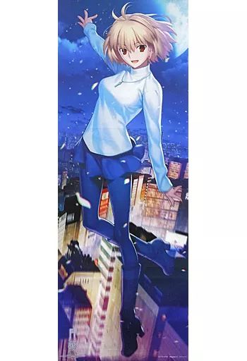 月姫 Switch 特別版、アルクェイド 特典 タペストリー　月姫通信 月姫 アルクェイド タペストリー アニメイト購入特典 | K-BOOKS 秋葉原