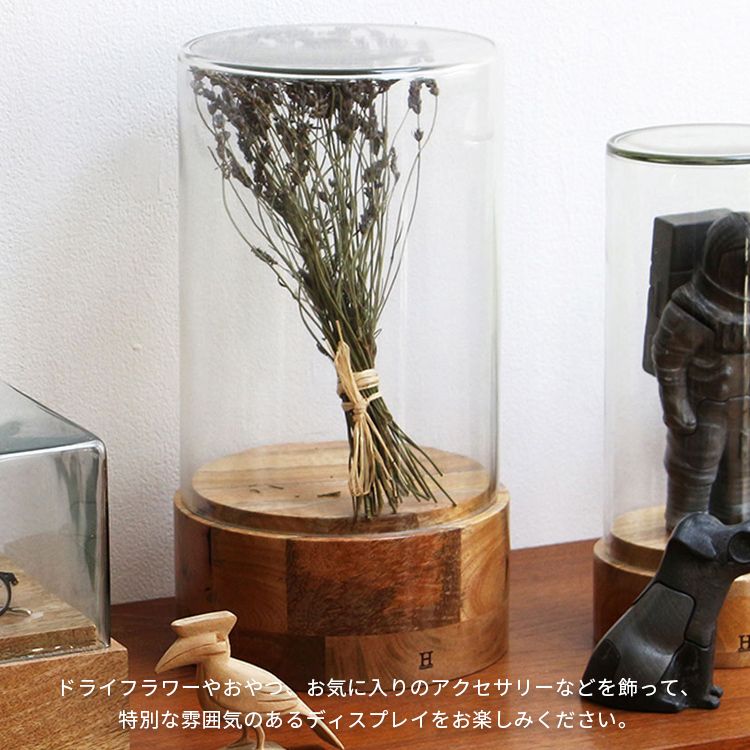 アンティーク ガラスドーム展示ケース ガラスドーム、ディスプレイケース、コレクションケース LCM 2887