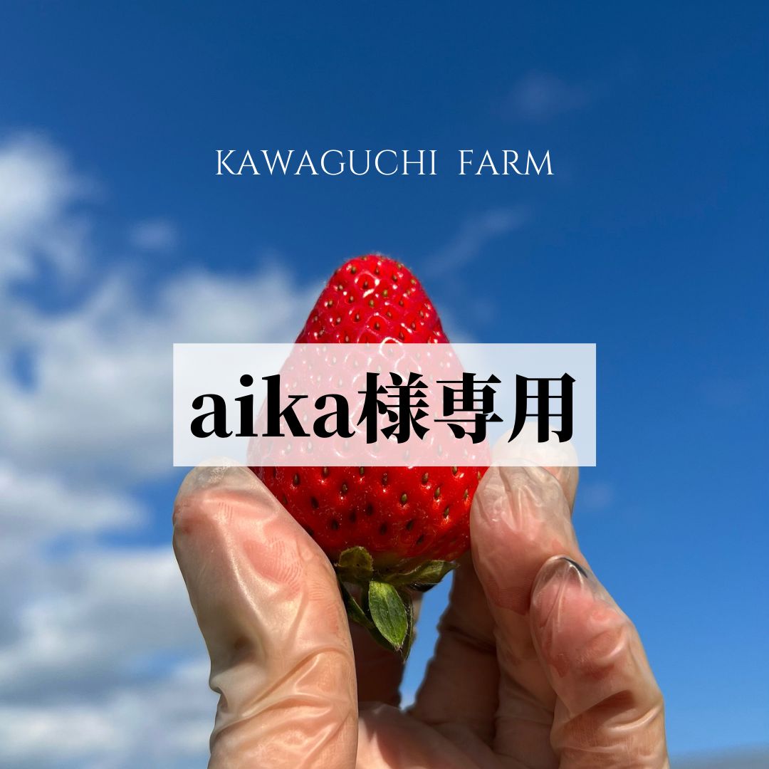aika様 専用ページ - メルカリ