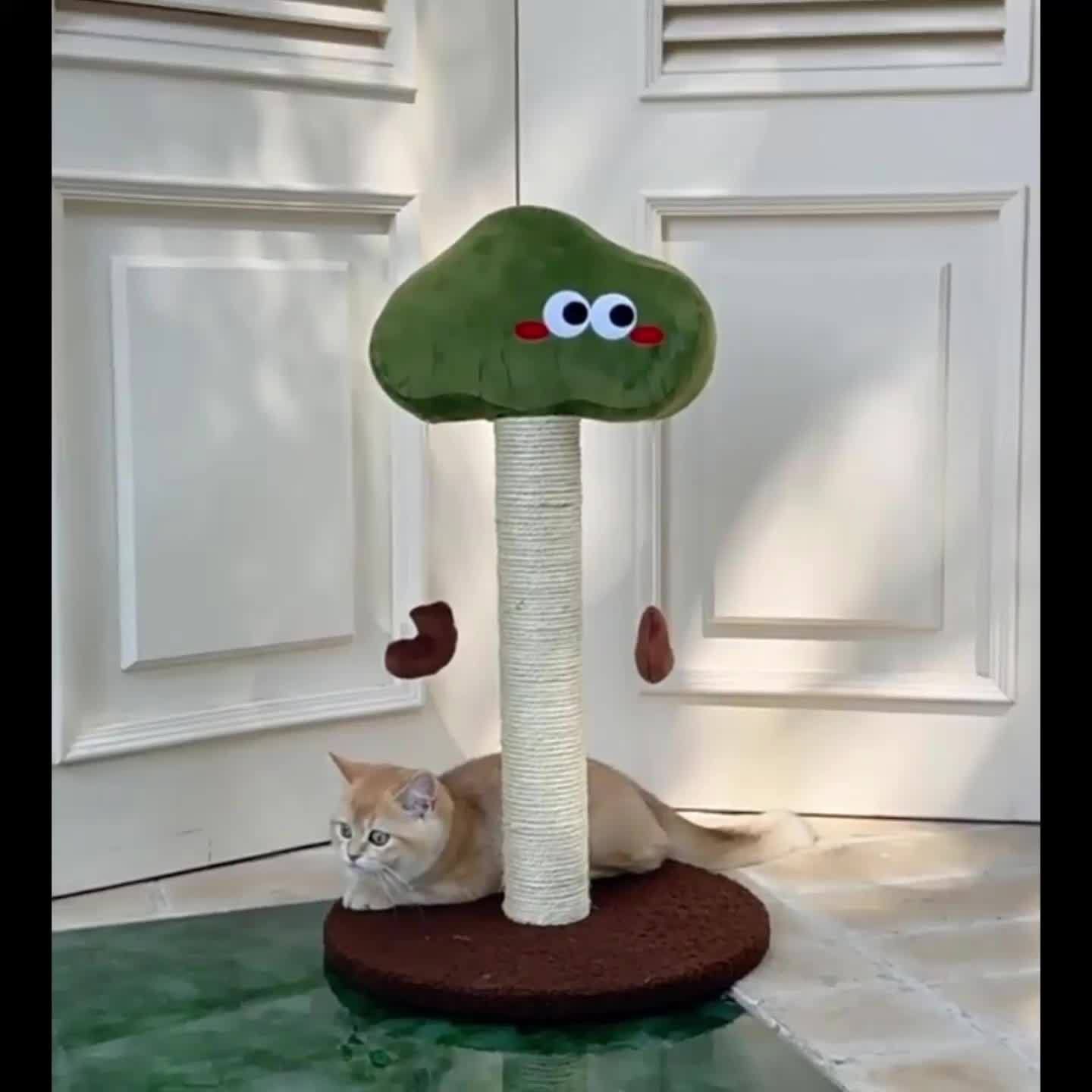 猫用 スクラッチポスト ユニーク 面白い 木 コンパクト キャットタワー キャットツリー 爪とぎ スクラッチ かわいい 据え置き 耐久性 安定 安全 運動不足解消 多頭飼い 猫用 おもちゃ 小型猫 中型猫 大型猫