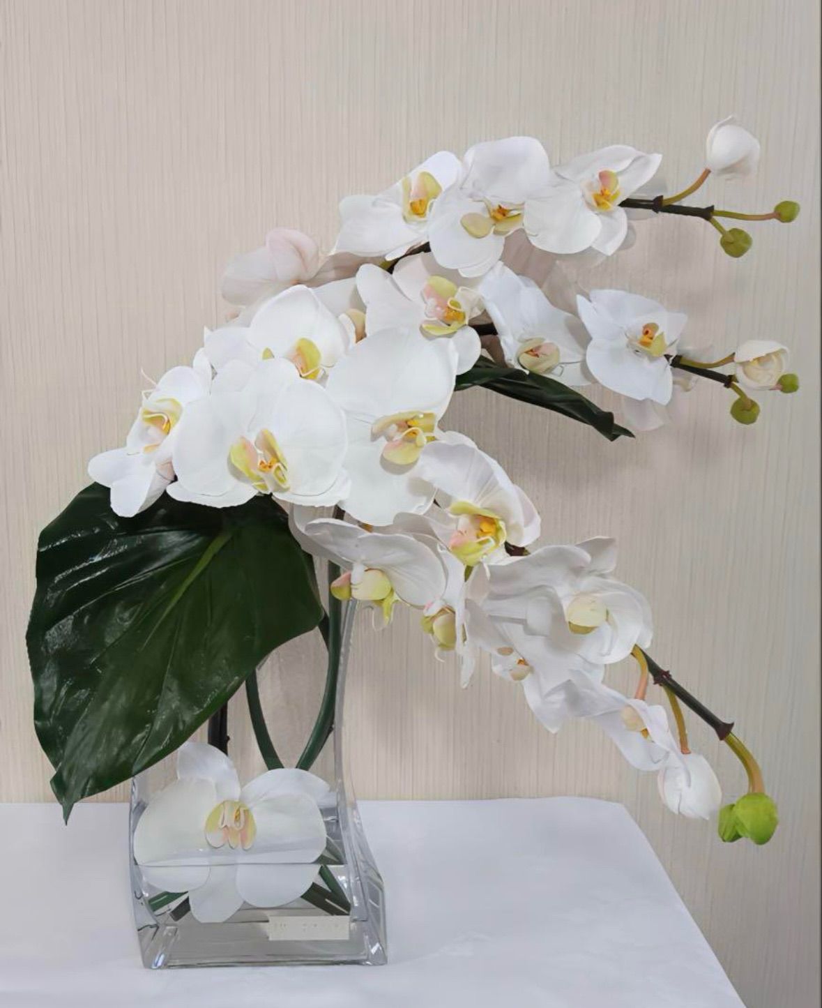 フェイクグリーン エミリオロバ