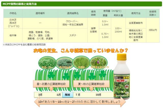 広葉雑草 クローバー