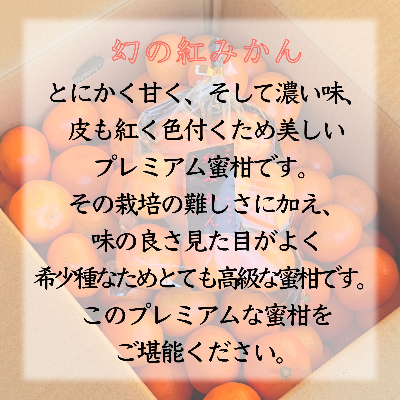 翌日発送 紅みかん 箱込約１０㌔高級味濃い 高騰中 みかん 小原紅早生 翌日発送 紅みかん 箱込約10㌔高級味濃い 高騰中 みかん 小原