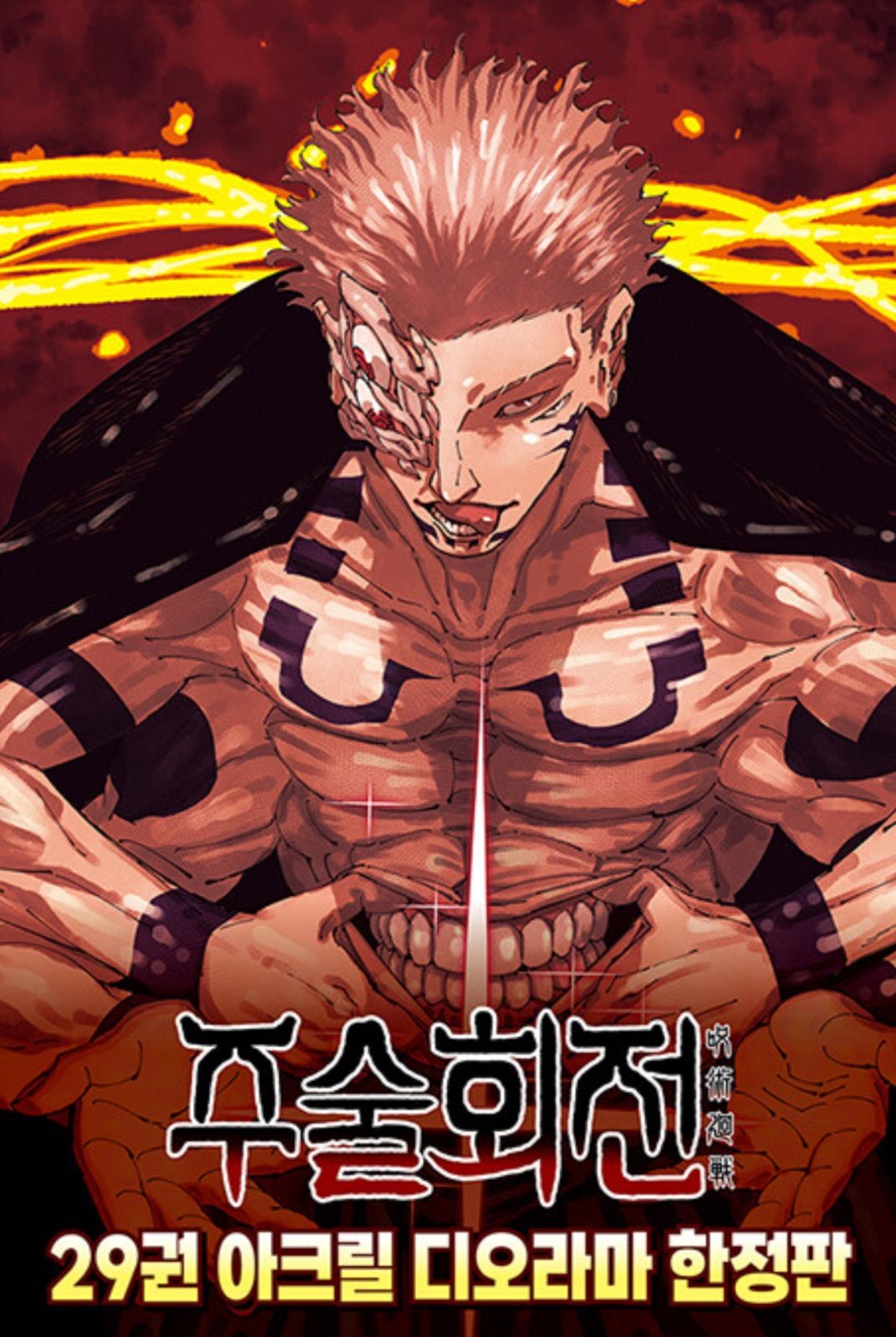 限定版】韓国語 まんが 『呪術廻戦 29巻（韓国版）＋アクリル