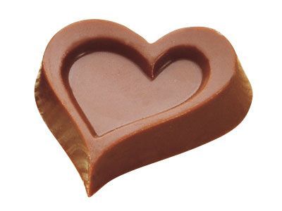 ポリカーボネイトチョコレートモールド MA1613