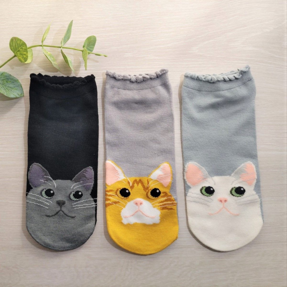 即日発送 ネコ 猫 刺繍 レディースソックス 靴下 3足セット 動物