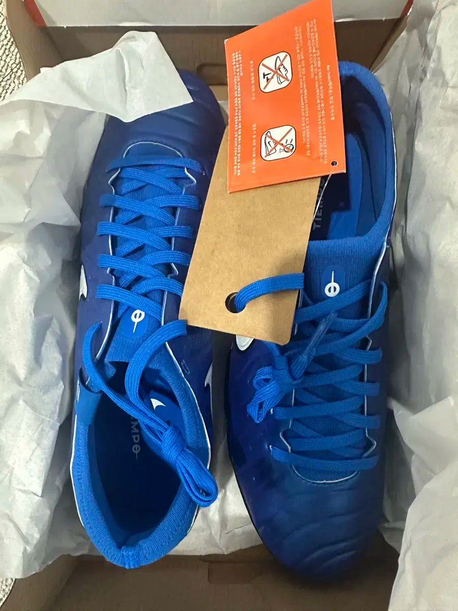 ナイキ ティエンポ レジェンド 10 プロ tf 275