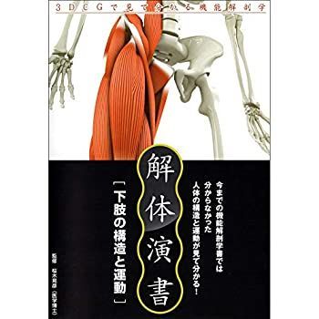 下肢の構造と運動 解体演書 : Vista⁄XP版 スタンダート版 公式通販