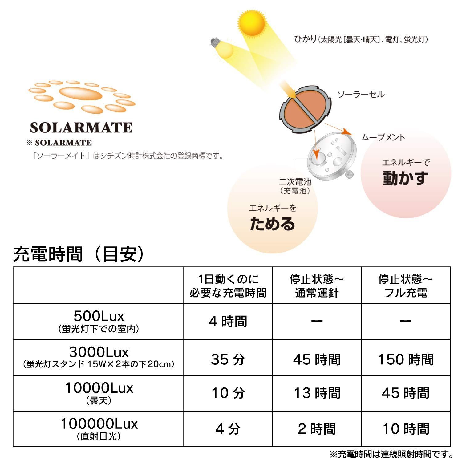 数量限定】[シチズン Q&Q] 腕時計 アナログ 電波 ソーラー 防水 日付