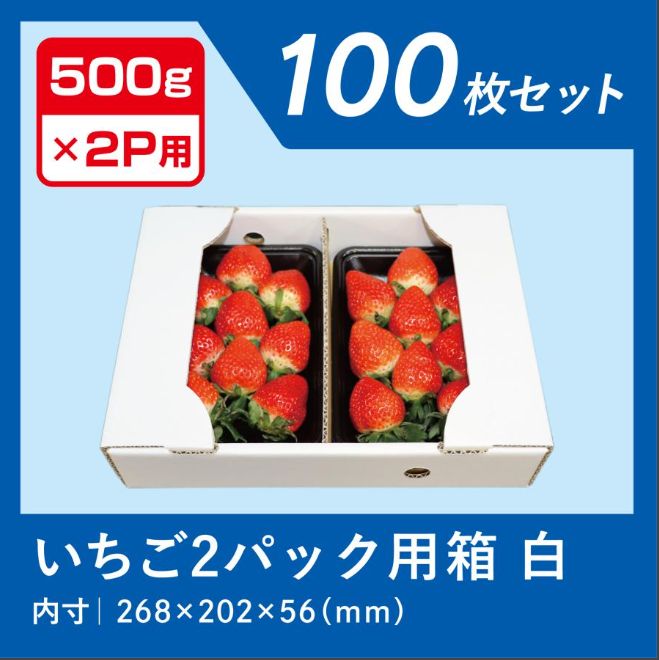 いちご 500g×2パック用 段ボール箱 100枚 - メルカリ