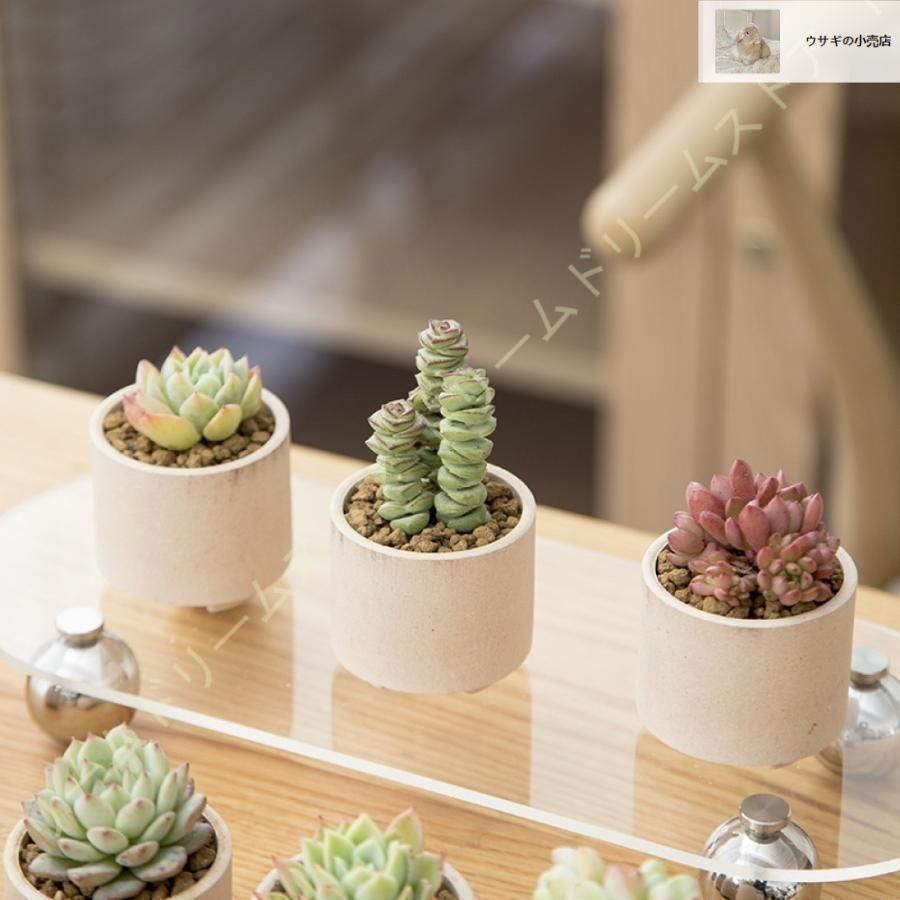 植木鉢 18個入り 多肉植物ポット プランター 陶器鉢 盆栽 親指