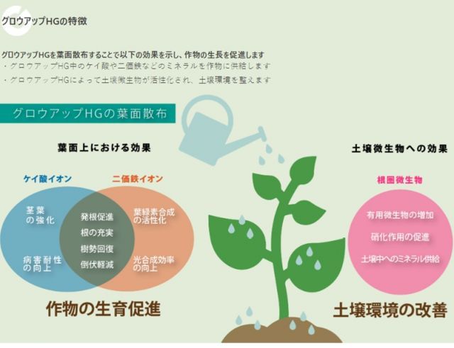 土壌改良剤 液剤 グロウアップHG 500ml 土壌改良材 葉面散布剤 カルシウム マグネシウム バイオスティミュラント資材 発根促進剤 微生物活性剤 バチルス菌 有機栽培 有機石灰 ゼオライト 園芸 畑 二価鉄 有機農法 ミネラル