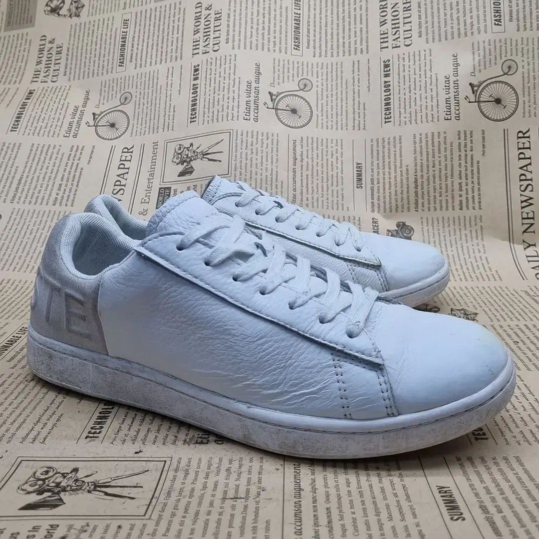 LACOSTE(ラコステ) カーナビー Evo メンズスニーカー 255