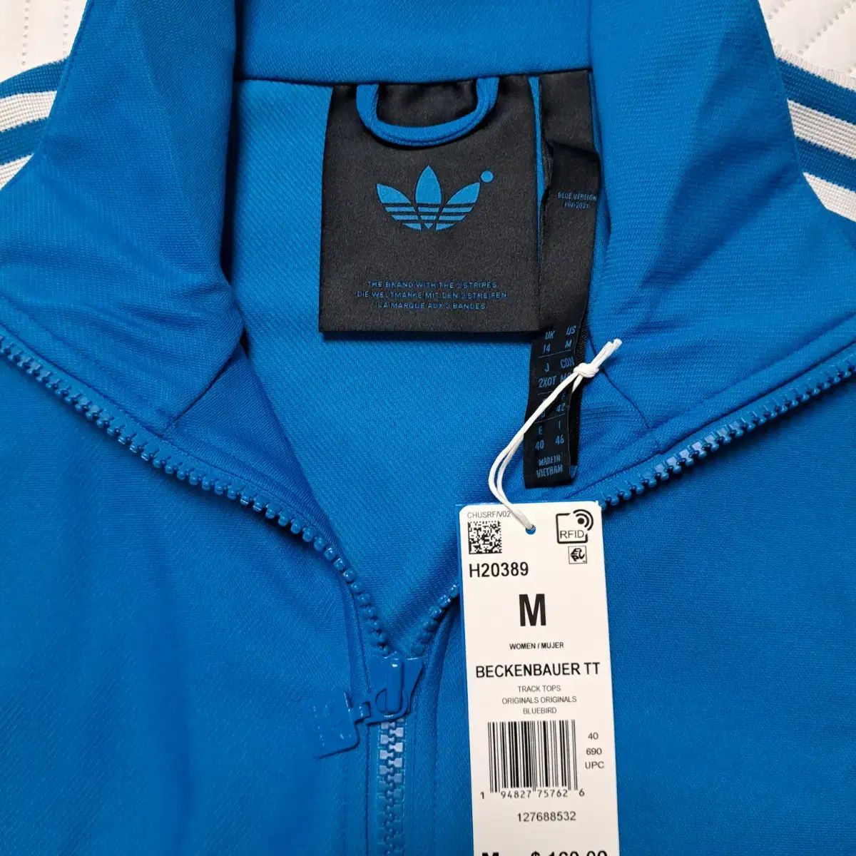 ブルーバージョン ルーズ