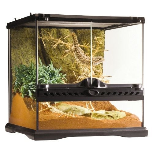 新品】GEX(ジェックス) エキゾテラ グラステラリウム3030 爬虫類 飼育ケージ PT2600 - メルカリ