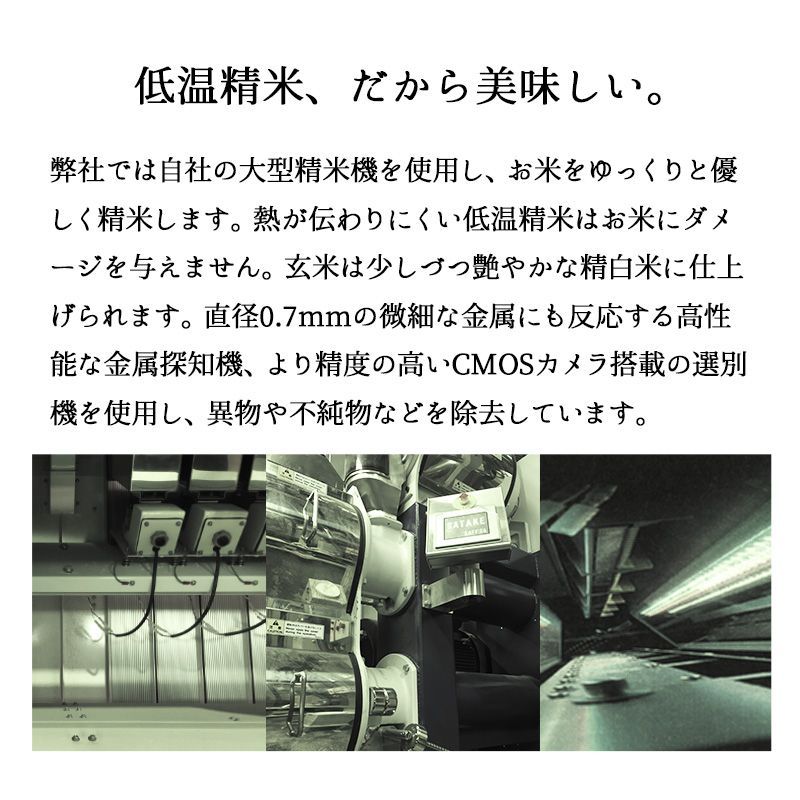 新米 新之助5kg お米 令和6年産 白米