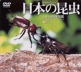 【中古】「非常に良い」日本の昆虫 DVD映像図鑑 非常に良い」日本の昆虫 DVD映像図鑑 【公式通販】