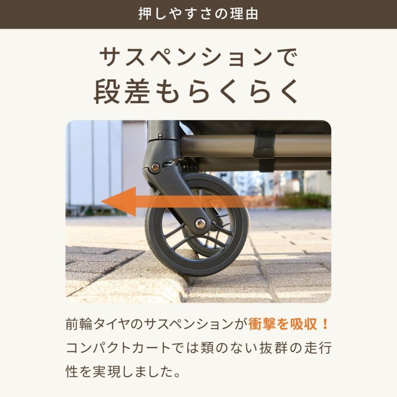 犬