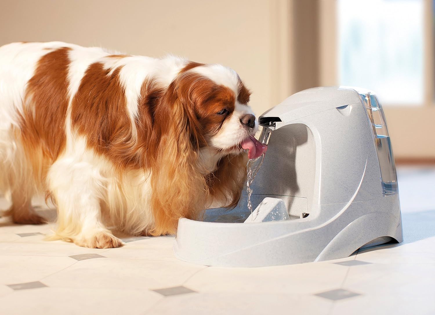 ペットセーフ 犬猫用