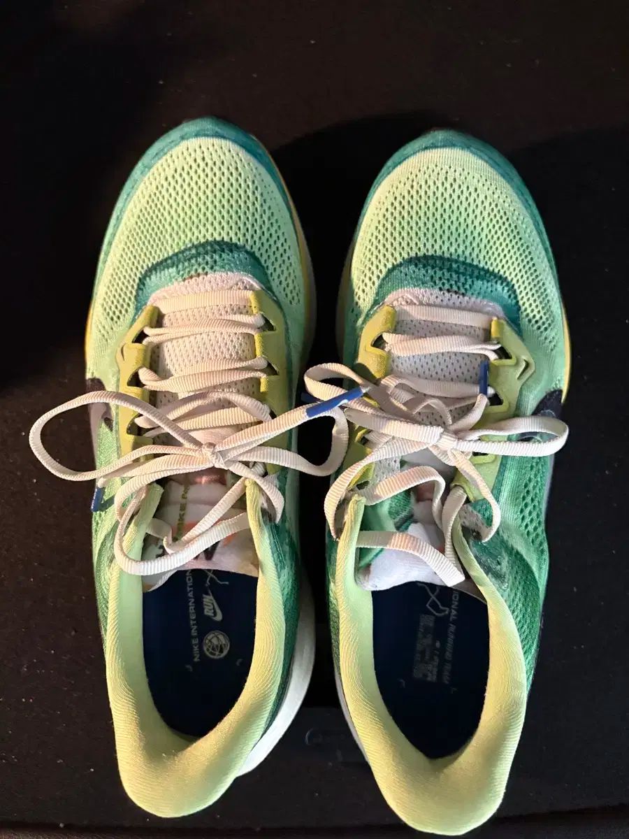 NIKE ナイキ ペガサス ランニングシューズ 260