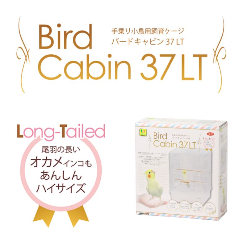 ３７ ＬＴ