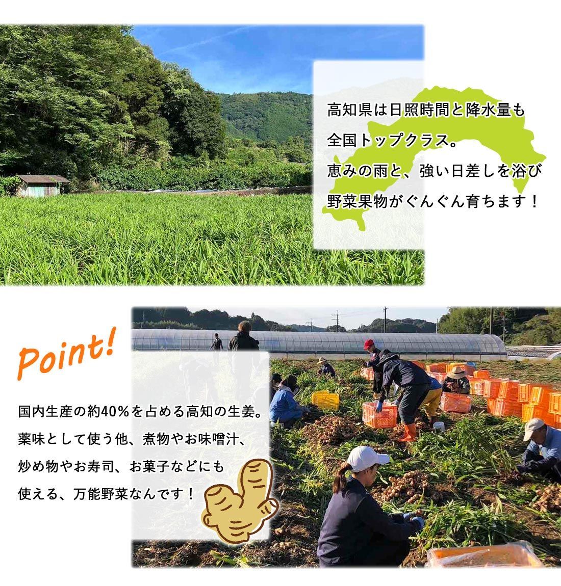 自宅用 業務用