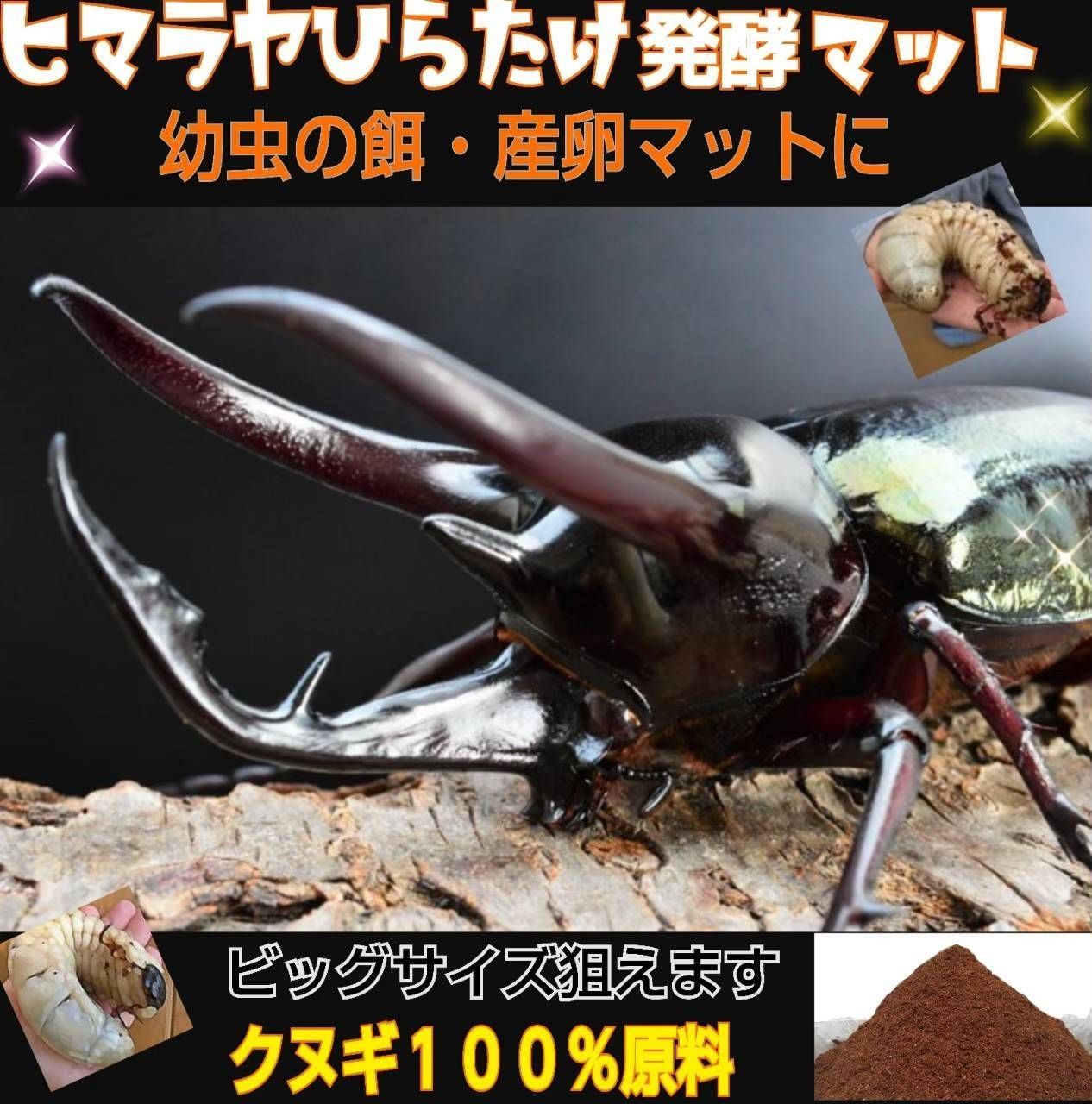 カブトムシ幼虫の餌☆栄養たっぷり！丸々太ります！発酵マット【2袋