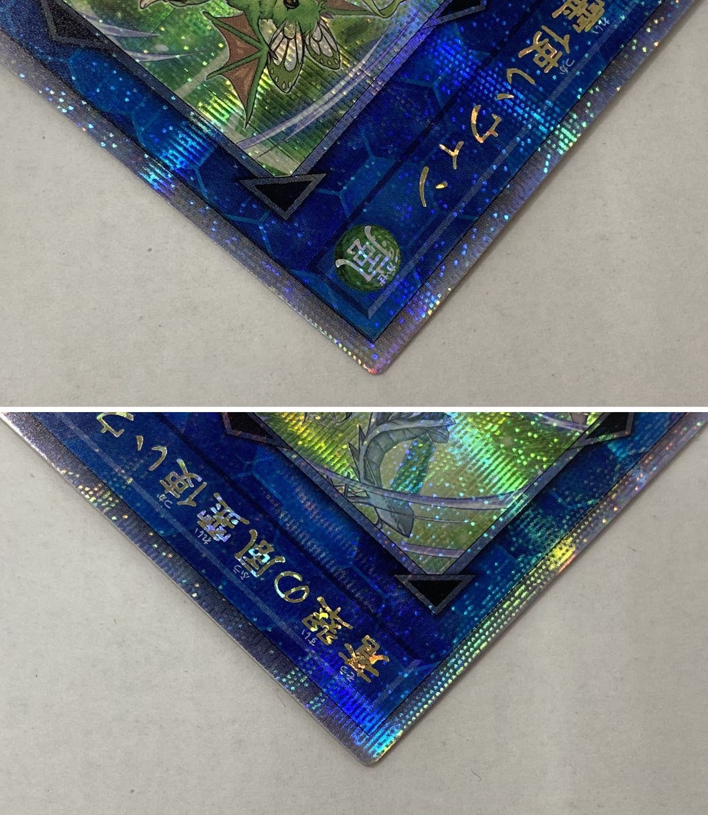 遊戯王 蒼翠の風霊使い ウィン 25th クオシク QCCU-JP188 Amazon.co.jp: 遊戯王カード 蒼翠の風霊使い ウィン(ウルトラ