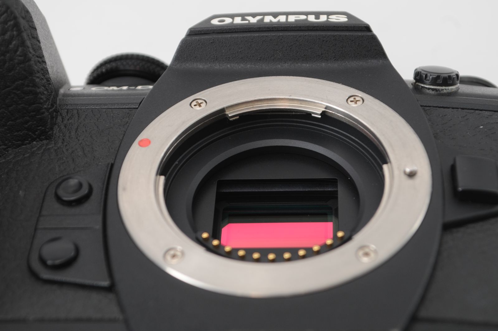 E-M1 MarkⅡ|FL-LM3