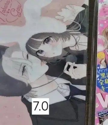 あなたと バラ色 毎日 別冊マーガレット マーガレット 雑誌 付録 特典 クリア ファイル 漫画