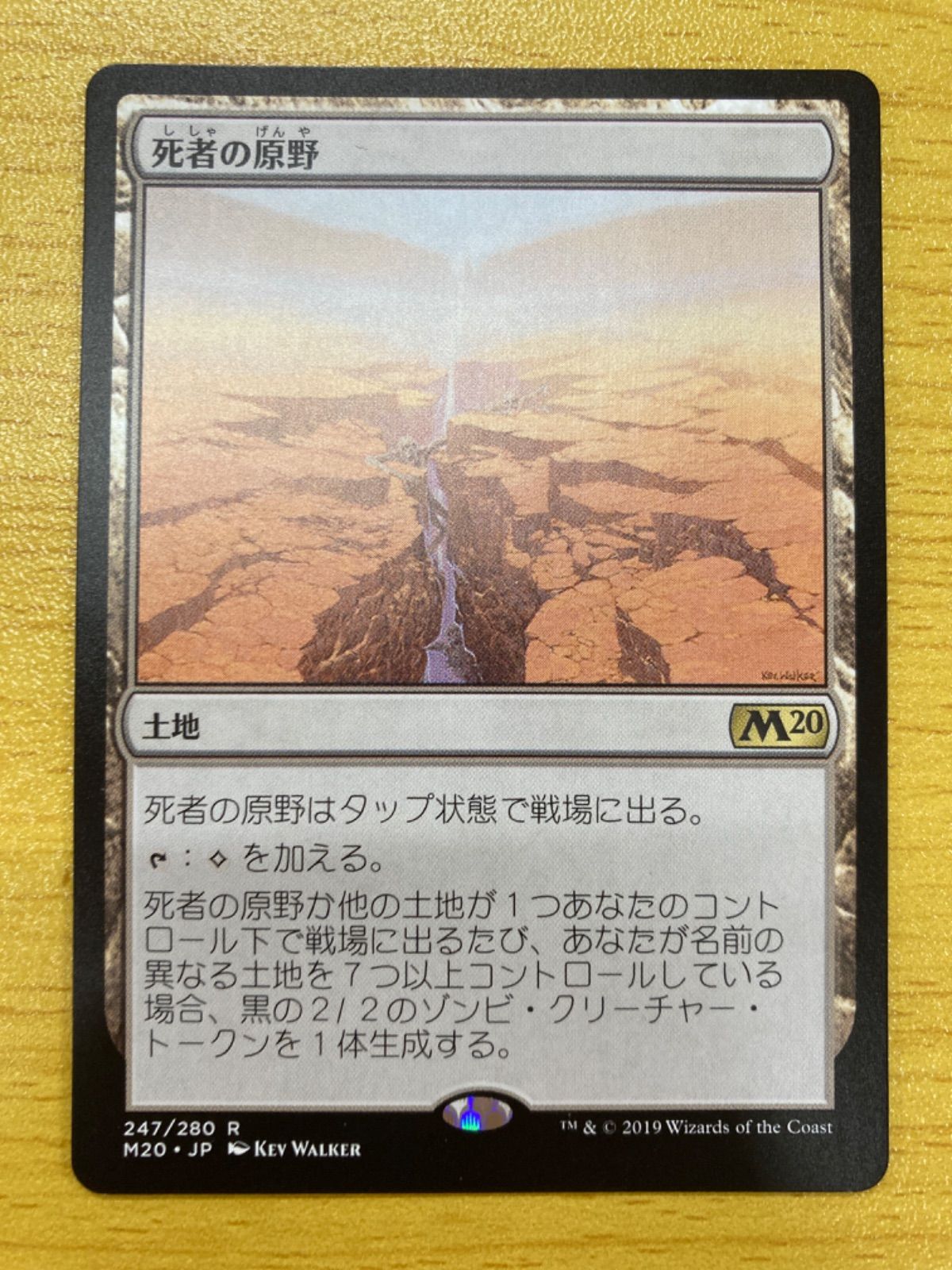 MTG 死者の原野 日本語 - メルカリ