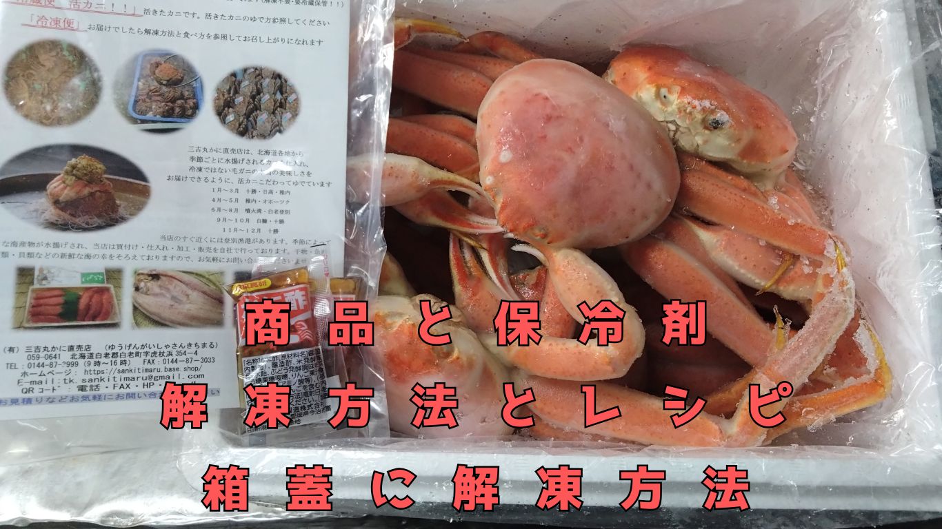 オオズワイガニ 冷凍便