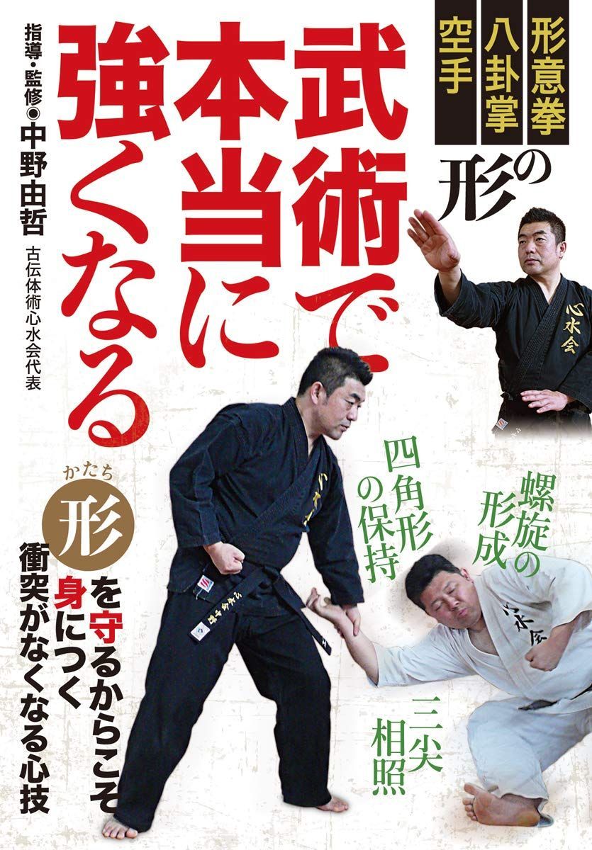 DVD 程聖龍内家拳八卦掌 中国伝統武術系の技術DVD