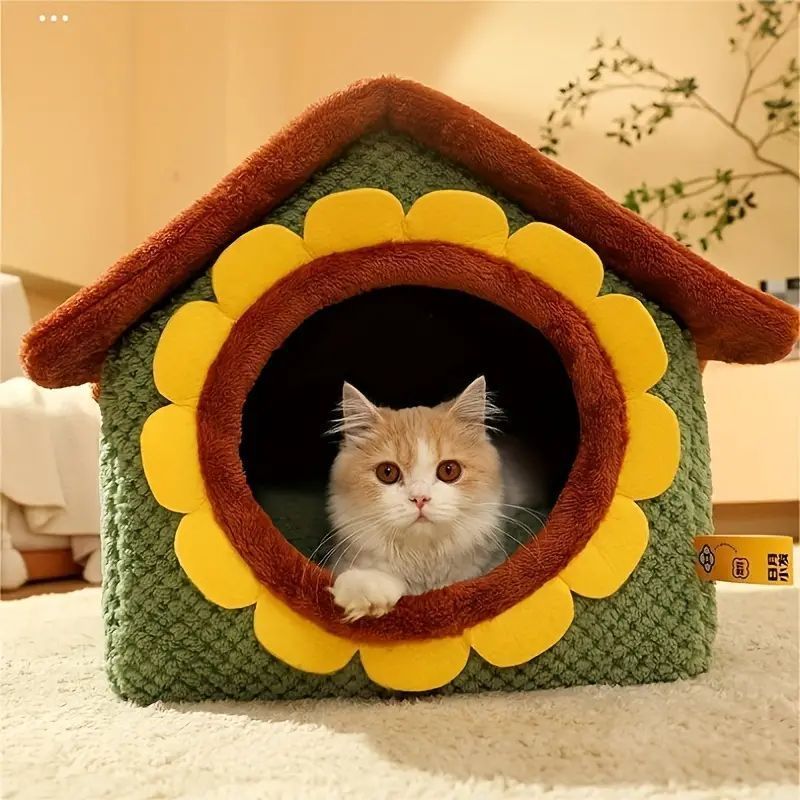 中型猫