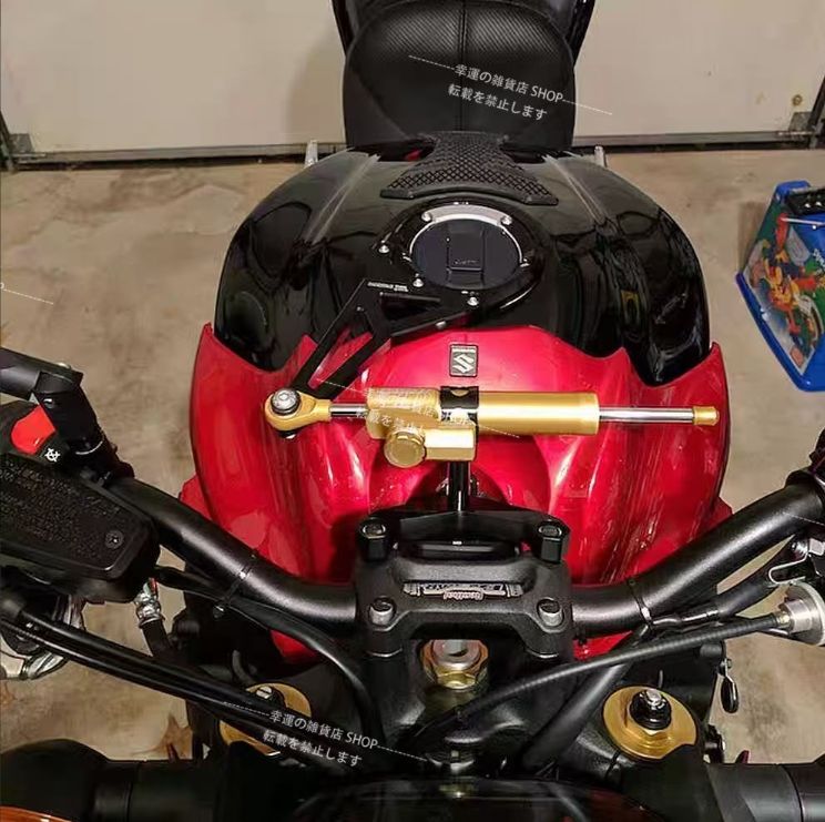 s1000gt