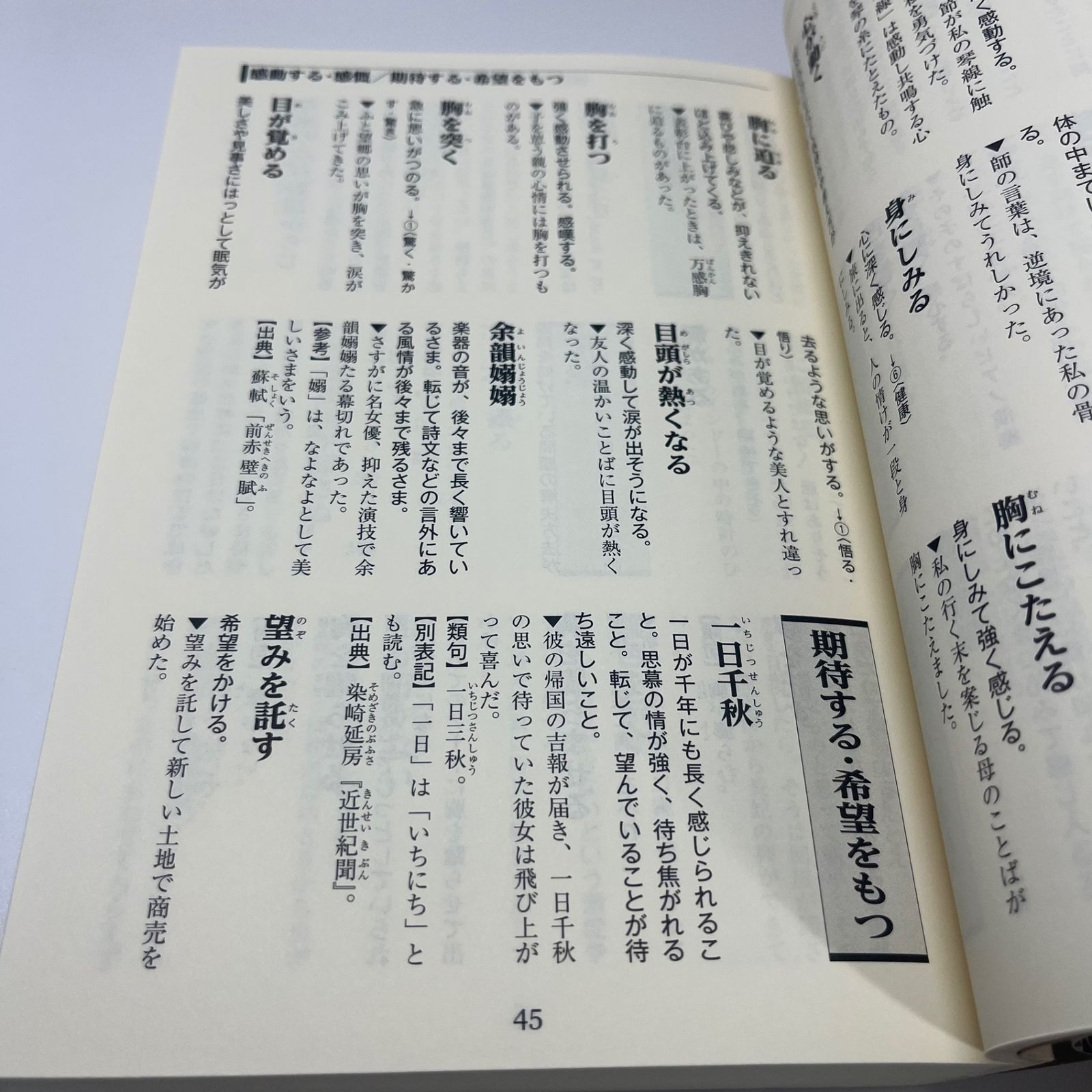 慣用句・故事ことわざ・四字熟語 使いさばき辞典 - メルカリ