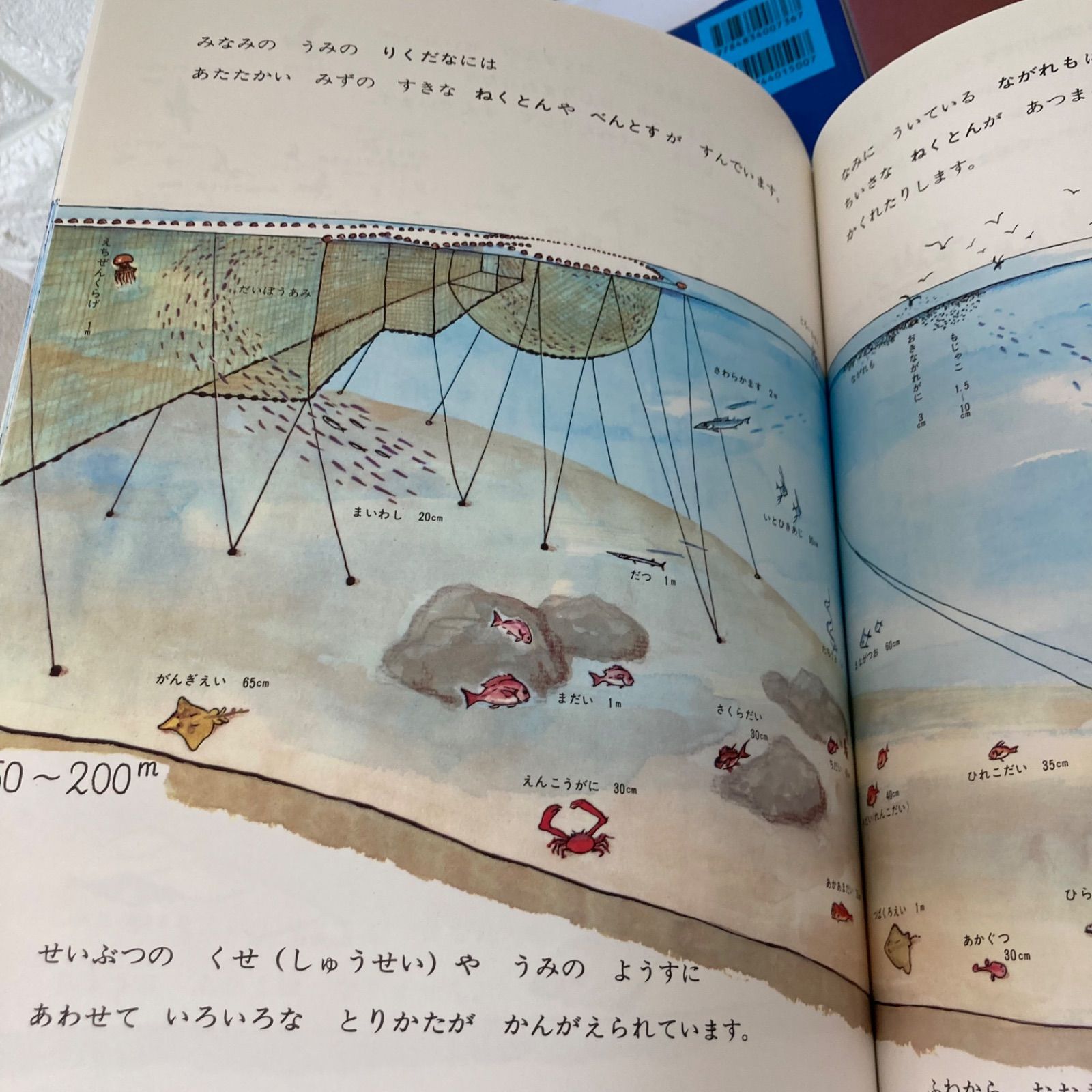 かがく図鑑系】加古里子 かこさとし 海 地球 宇宙 福音館のかがくの 