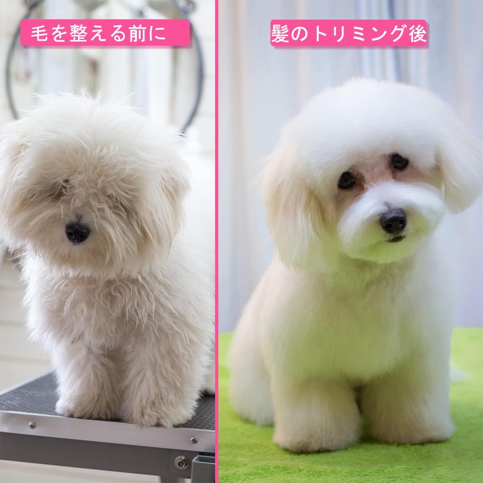 新品未開封】 初心者向け すきバサミ/ストレートバサミ/カーブバサミ  