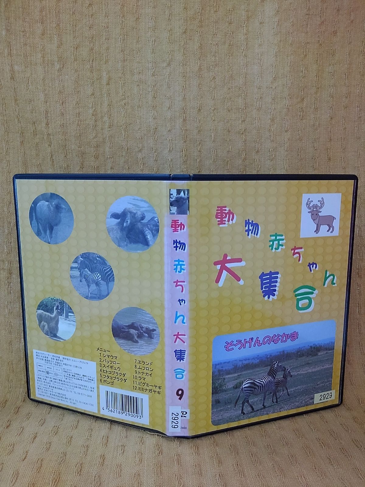 動物赤ちゃん大集合 ９ そうげんのなかま レンタル落ち 中古 DVD