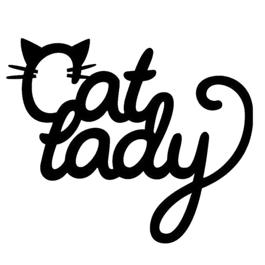 車 ステッカー 猫 ネコ CAT TODAY 愛猫 キャット 英語 英字 文字 給油口 おもしろ バイク かっこいい カー用品 おしゃれ 転写式 -  メルカリ