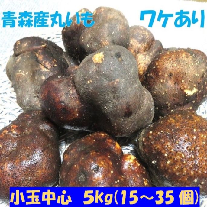 青森産 丸いも つくね芋 ワケあり 小玉 5kg (15～40個)  最安値 毎日 お手頃 健康