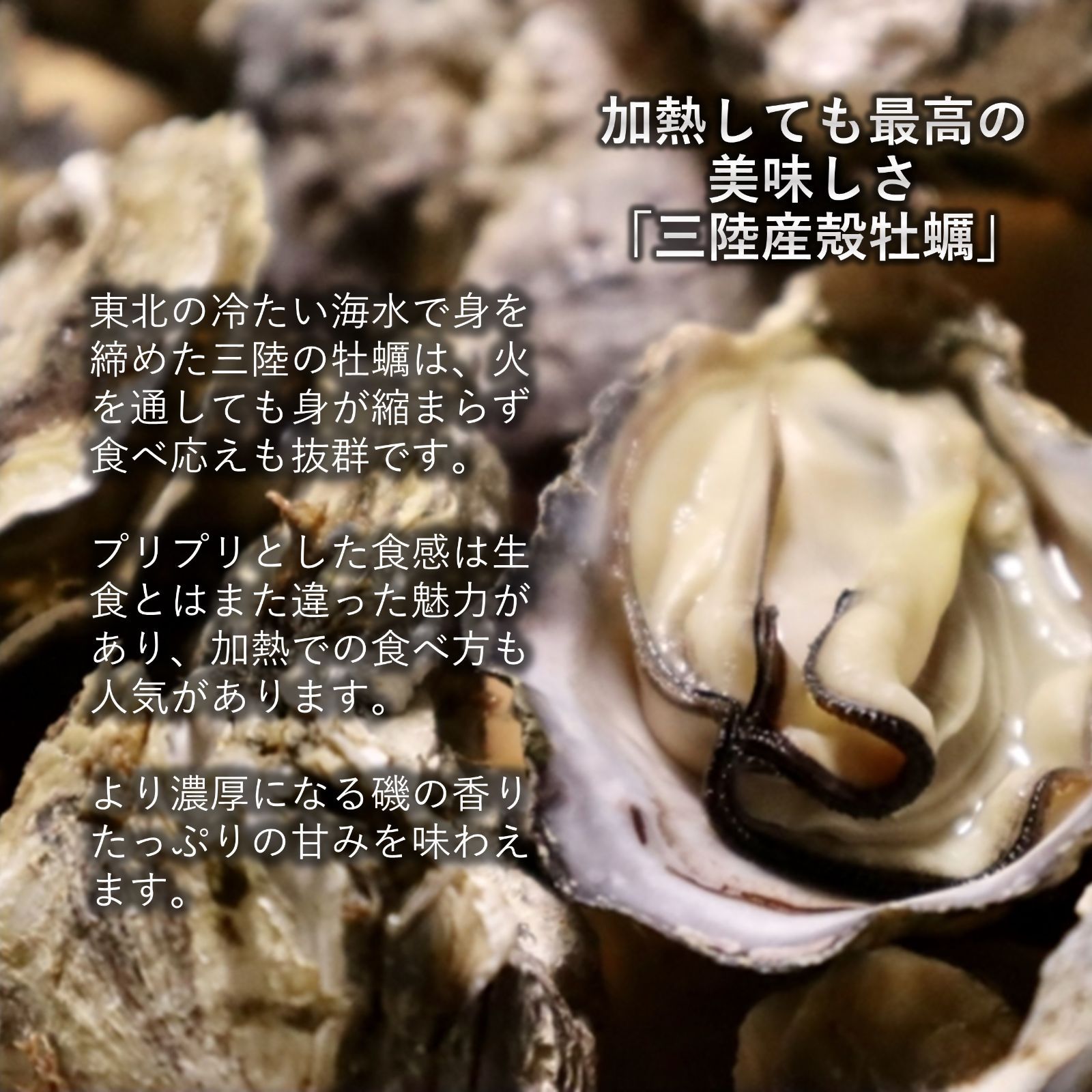 三陸産 ホタテ＆牡蠣セット 殻付きホタテ10枚 殻付き牡蠣2kg 三陸の肉厚ホタテと身入りの良い牡蠣 BBQにも最適！冷凍で旨味を閉じ込め日持ちも抜群！