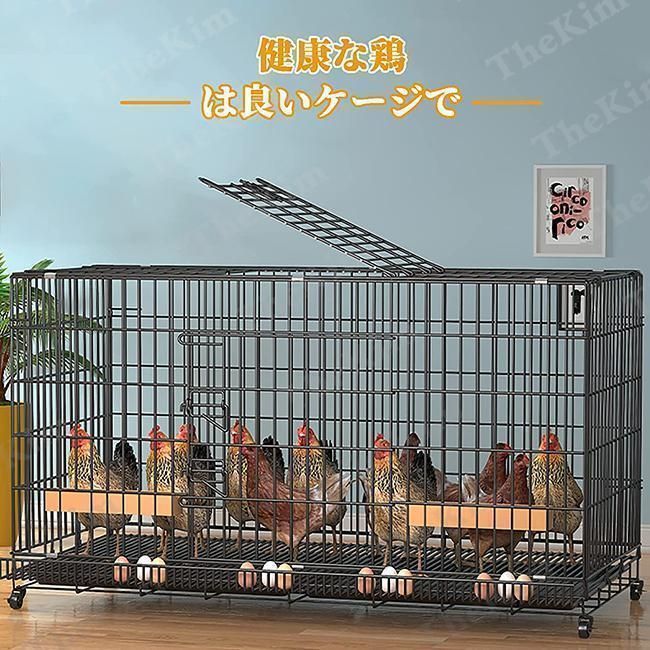 家禽用ケージ 鶏舎