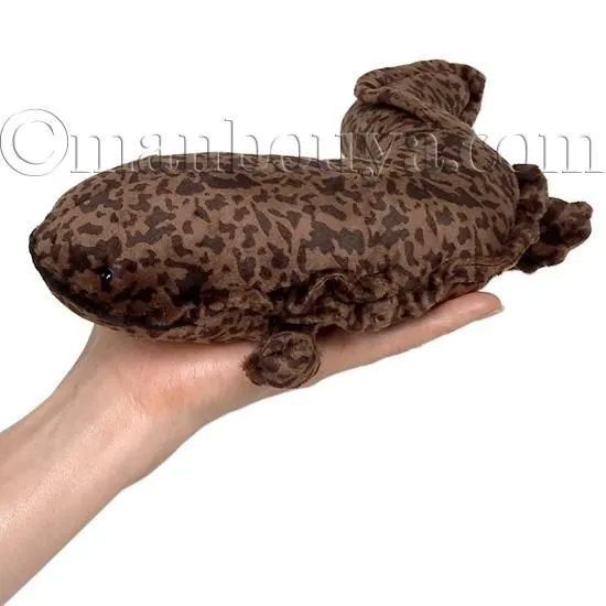 カドリー　大山椒魚　ぬいぐるみ Amazon｜Fmtop-JP 大山椒魚 ぬいぐるみ かわいい オオ