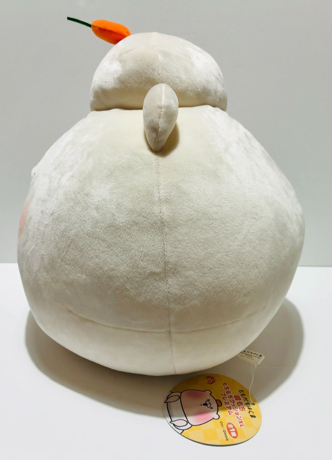 ともだちはくま もちもちクッション XL プレミアム 鏡もち