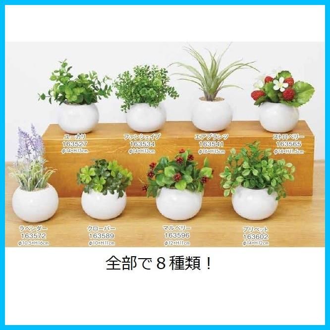 光触媒
