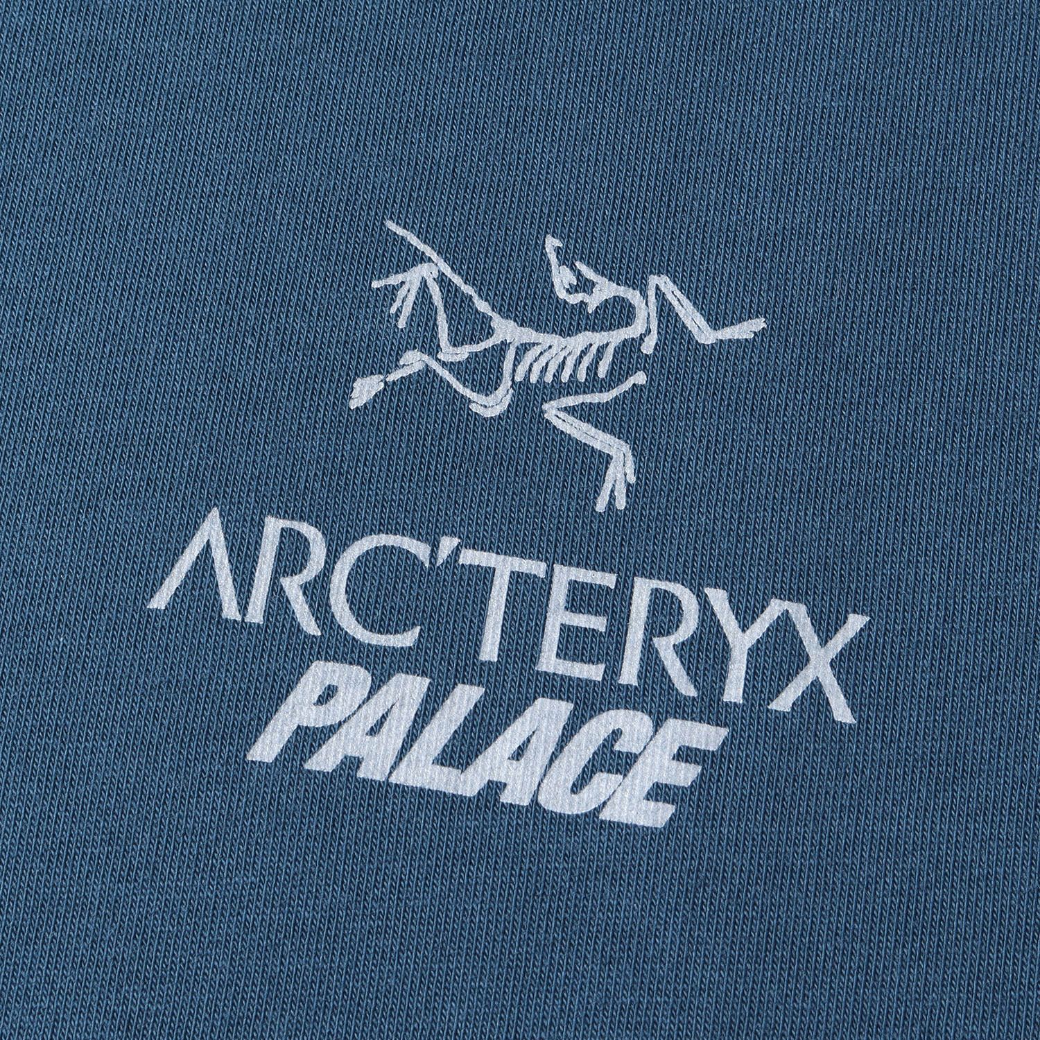 美品 PALACE パレス Tシャツ ARC TERYX アークテリクス リフレクター